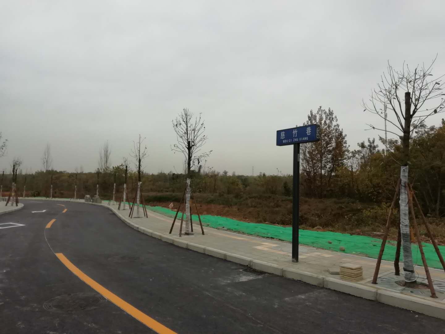 熊猫小镇项目道路及配套设施二期